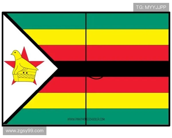 大洋洲区名额分配方案及其对各国影响分析