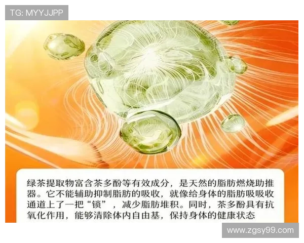 深入解析左旋肉碱在体重管理能量代谢与运动表现提升中的科学作用