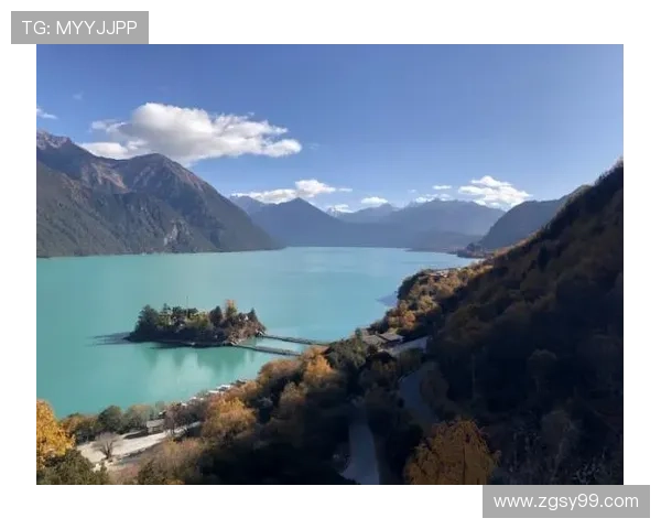 非洲雄狮崛起象征大地力量与生态复兴的壮丽篇章 - 副本 (5)